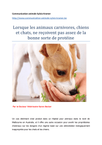 Lorsque les animaux carnivores, chiens et chats, ne reçoivent pas