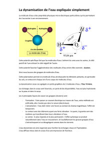 La dynamisation de l`eau - ECO-H2O