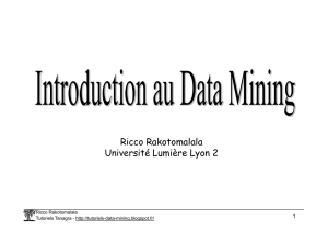 a_Introduction_au_Data_Mining [Mode de compatibilité]