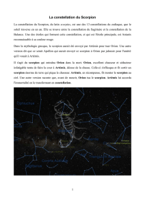 La constellation du Scorpion - formad