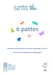 16 Six pattes - Académie de Bordeaux