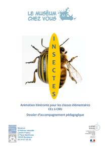 17 insectes - Académie de Bordeaux