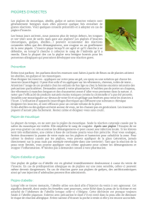 Pharmacie Vauban à MULHOUSE - Fiche conseil : Piqûres d`insectes