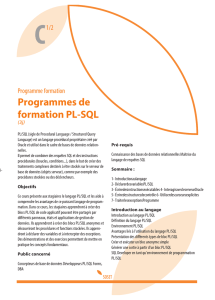 Programmes de formation PL-SQL