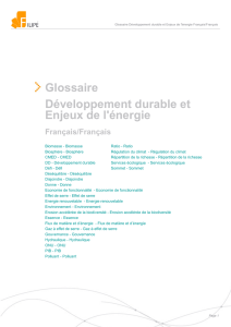 Glossaire Développement durable et Enjeux de l`énergie Français