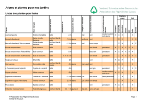 Plantes pour haies