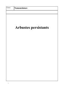 arbustes persistants4tq.pub