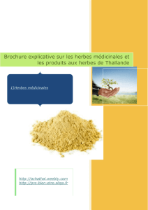 Brochure Herbes Thaies