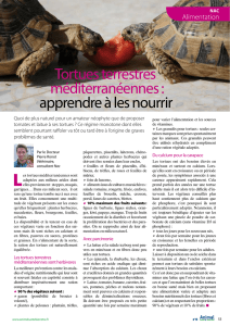 L`alimentation des tortues terrestres.