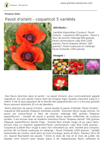 Pavot d`orient - coquelicot 5 variétés 1,50 € TTC