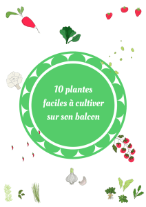 10 plantes faciles à cultiver sur son balcon