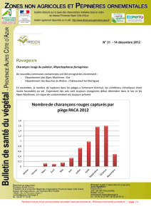 14 décembre 2012 - Ecophyto Pro en zones non agricoles