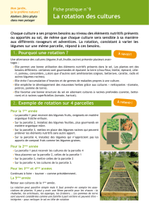 La rotation des cultures