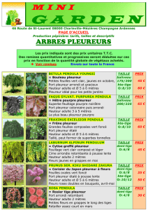 MINI GARDEN site janv 16 TARIF 11 Arbres d`ornement pleure…