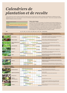 Calendriers de plantation et de recolte