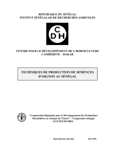 techniques de production de semences d`oignon au sénégal