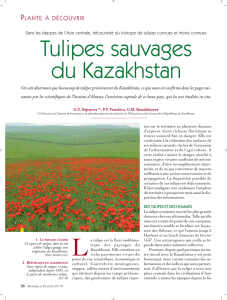 Terre-mère des tulipes - Ambassade du Kazakhstan