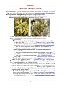 Primulacées d`Auvergne Limousin - Faune Flore