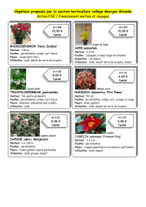 Description arbustes vente 2016