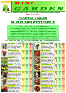 Plantes fleuries d`extérieur