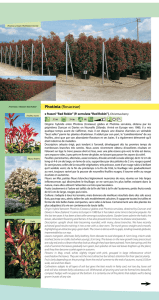 SA Plantarium - PLANTARIUM SA