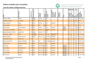 Plantes méditerranéennes