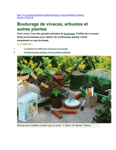 Bouturage de vivaces, arbustes et autres plantes