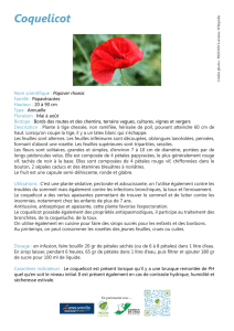 Coquelicot