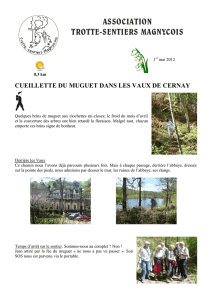 CUEILLETTE DU MUGUET DANS LES VAUX DE CERNAY