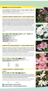 SA Plantarium - PLANTARIUM SA