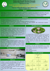 BENYAHIA Ibtissam et BOUTARFAIA Amira Dirigé par : Dr