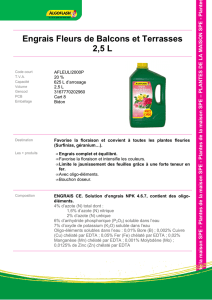 Engrais Fleurs de Balcons et Terrasses 2,5 L