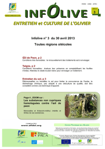 Infolive n° 3 du 30/04 - Syndicat des AOC olive et huile d`olive de