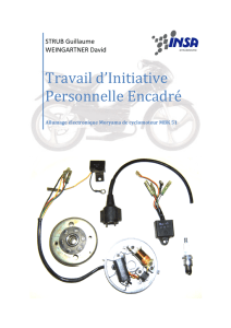 Travail d`Initiative Personnelle Encadré