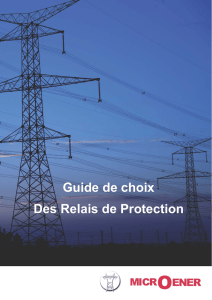 Guide de choix Des Relais de Protection