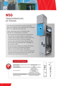 N5G Transformateurs de tension CAHORS