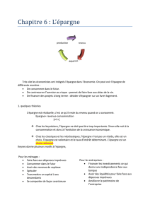Chapitre 6 : L`épargne