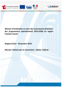 Rapport final ex-ante Instruments financiers