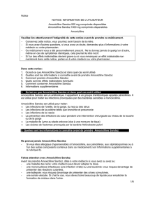 Notice 1/6 NOTICE: INFORMATION DE L`UTILISATEUR Amoxicilline