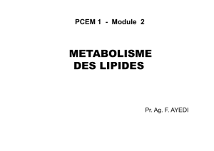 metabolisme des lipides