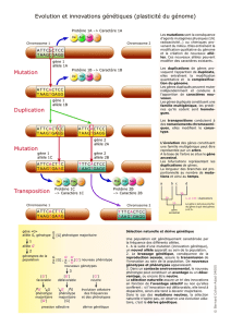 Evolution et innovations génétiques (plasticité du génome) Mutation