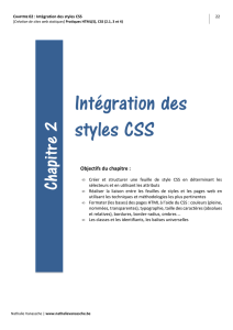 Intégration des styles CSS