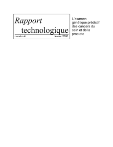 Rapport technologique