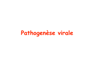 Pathogenèse virale
