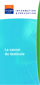 Le cancer du testicule