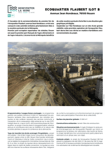 ecoquartier flaubert ilot B