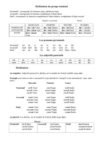 Déclinaison du groupe nominal