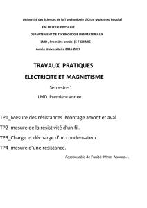 travaux pratiques electricite et magnetisme