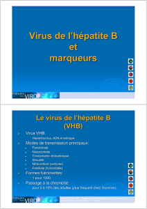 Generalites Infection VHB
