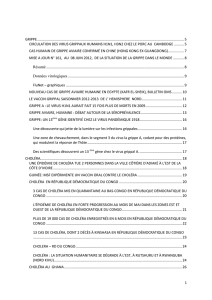 Bulletin de la veille Internationale juin 2012